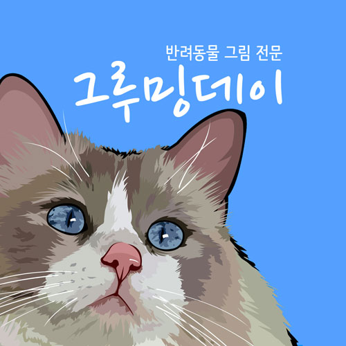 재능 목록 이미지